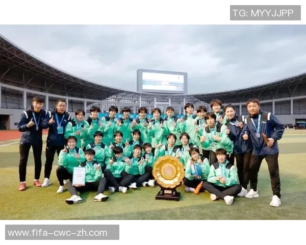 武汉市青少年足球发展现状与未来展望促进青少年健康成长的体育活动